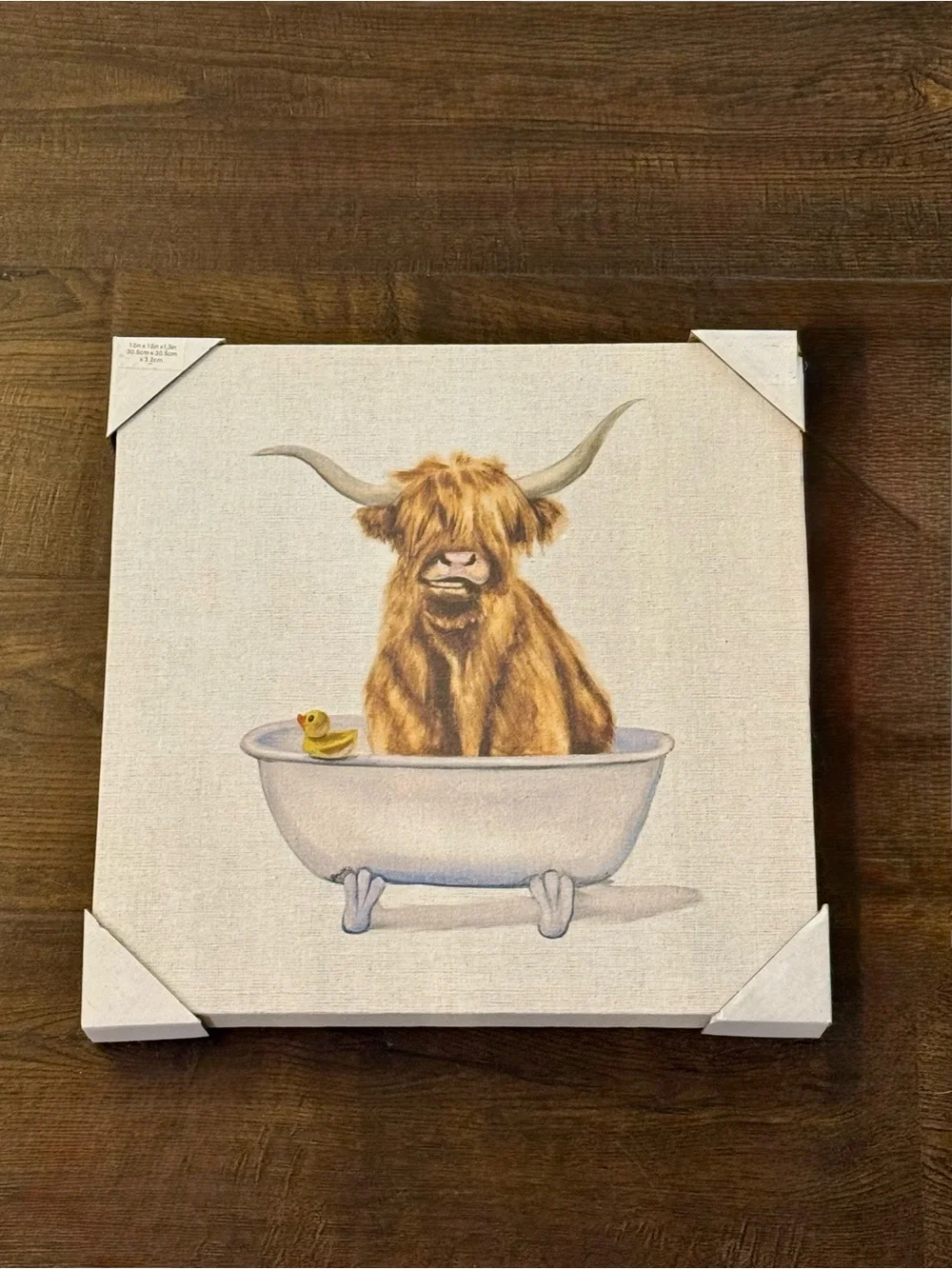 Highland Cow Bath Canvas Wall Art - new